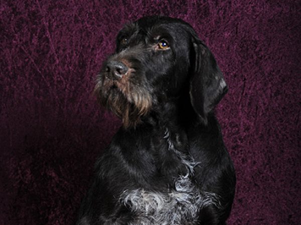 Bess20031001BN