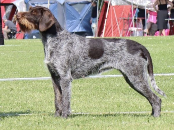 Nova udstilling01